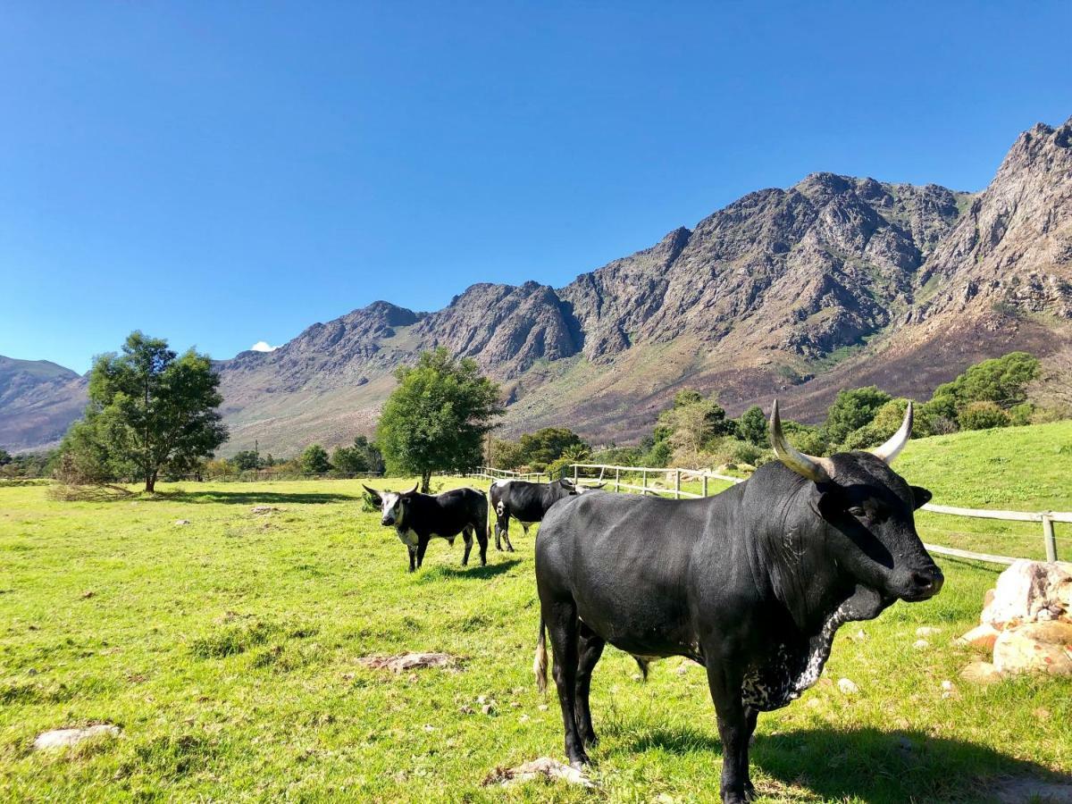 The Barn In Franschoek Guest House Franschhoek Ngoại thất bức ảnh